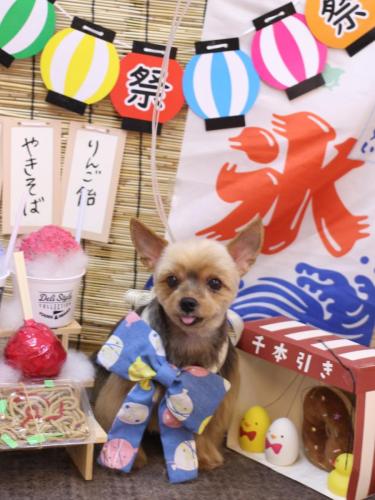 20240712リムちゃん